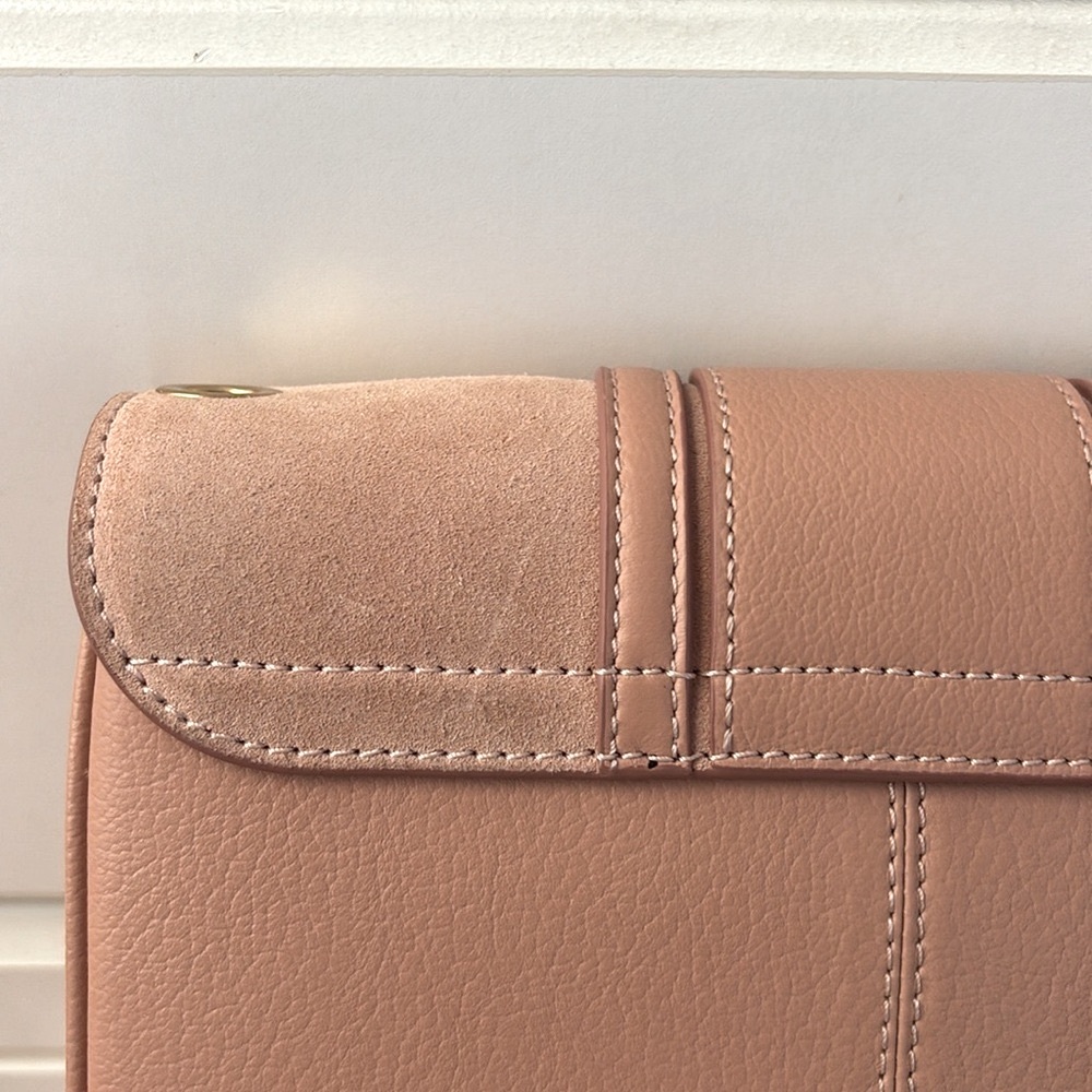 See By Chloe Pink Leather & Suede Crossbody Bag with Gold Ring - Picture 5 of 14